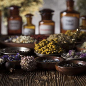 Specialized Services