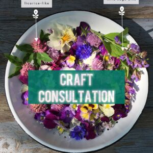 Craft Consultation
