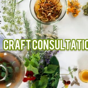 Craft Consultation