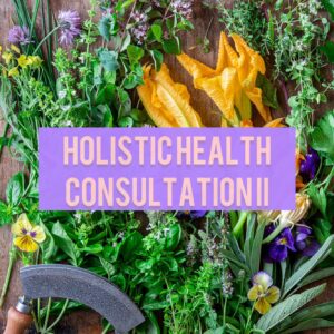 Holistic Health Consultation II
